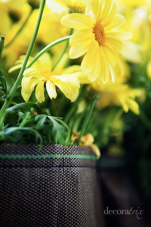 bolsas_de_jardineria_bacsac bolsas_de_jardineria_bacsac