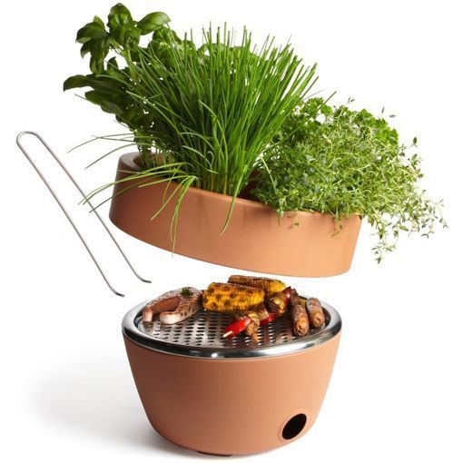 Barbacoa de carbón