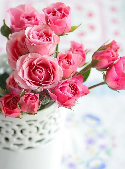 Rosa, flor del mes de junio