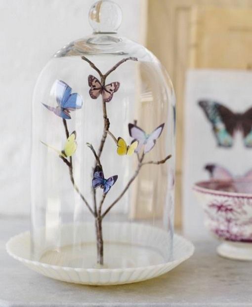 ideas decorativas fáciles: campana de cristal con mariposas