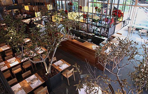 Cuines, restaurante en México