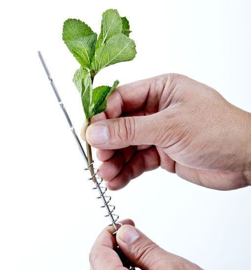 agua aromatizada con hierbabuena