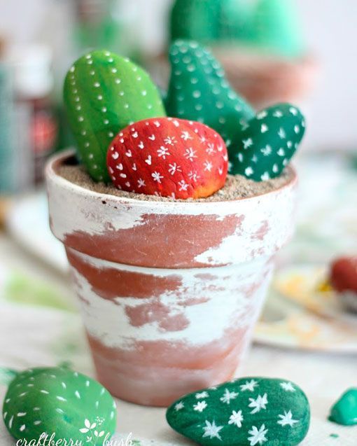 Cactus de piedra en varios colores