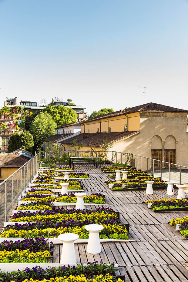 Un jardín en el techo de Milán