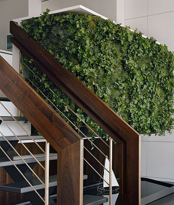 Detalle de la escalera con macizo vegetal