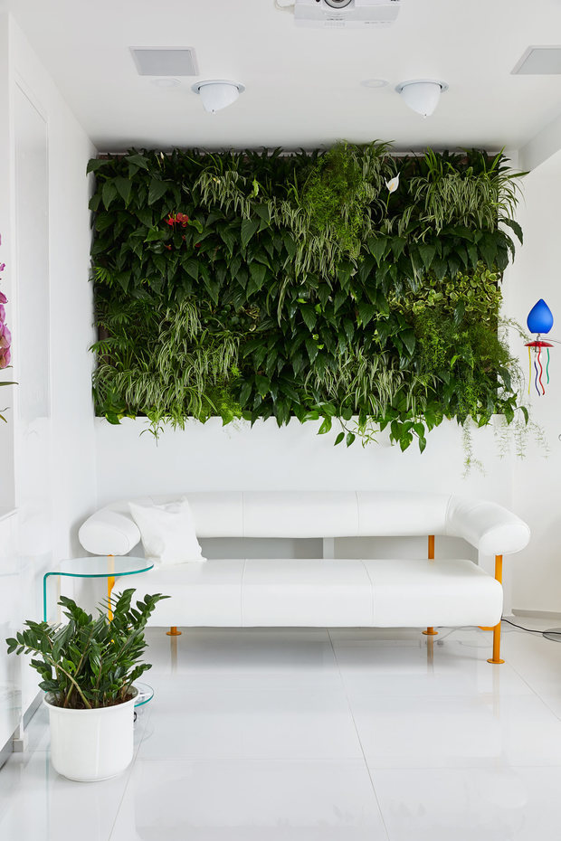 Jardín vertical en interior decorado en blanco