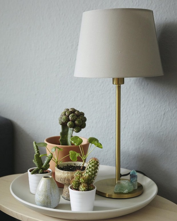 Detalle decorativo: lámpara de mesa y macetas agrupadas en una bandeja