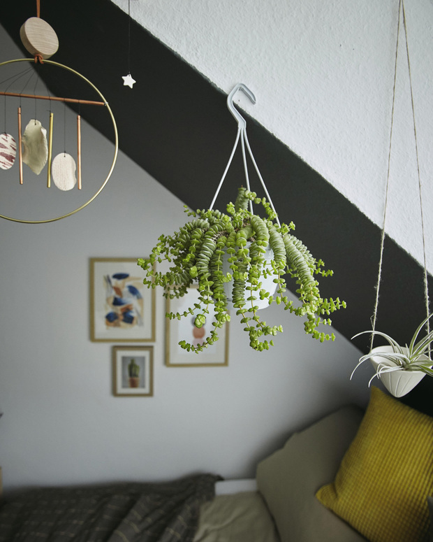 Ideas para decorar con plantas de interior