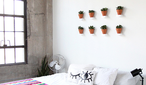 Macetas sobre repisas en la pared del cabecero