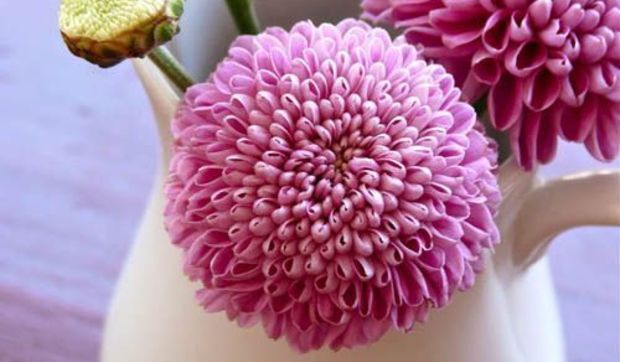 Ideas para decorar tu casa con flores de otoño