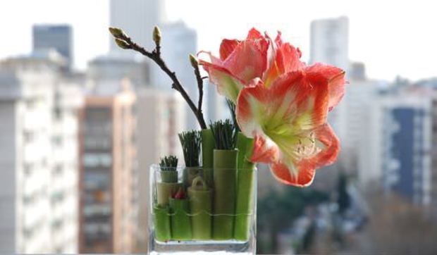 Arreglos de flores minimal