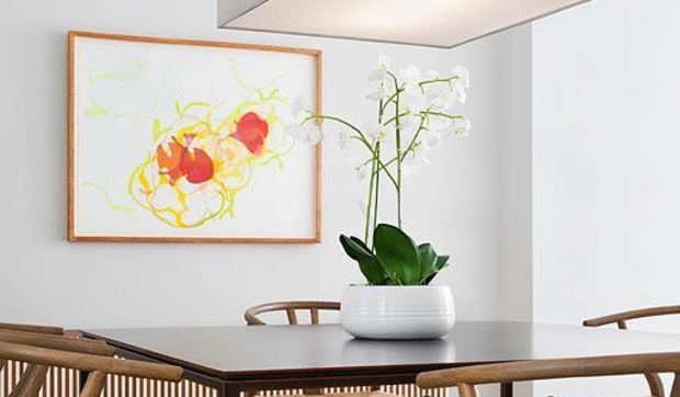 Comedor y cocina de un piso moderno