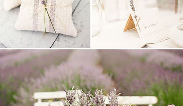 Flor de lavanda: color y aroma